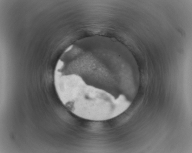 X0000113230085200910221048