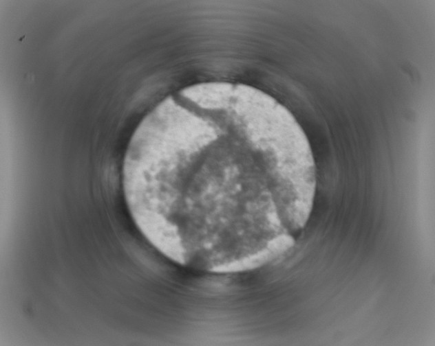 X0000113230086200910221048