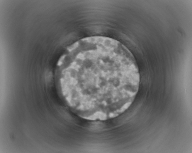 X0000113230087200910221048