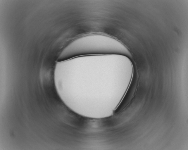 X0000113230088200910221048