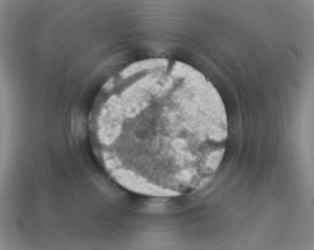 X0000113230090200910221048