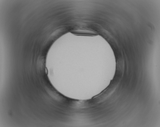 X0000113230092200910221048