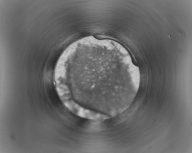 X0000113230093200910221048