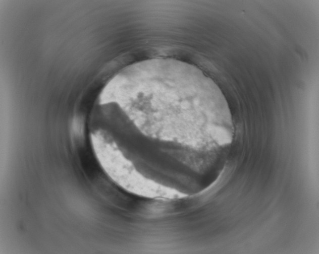 X0000113230094200910221048