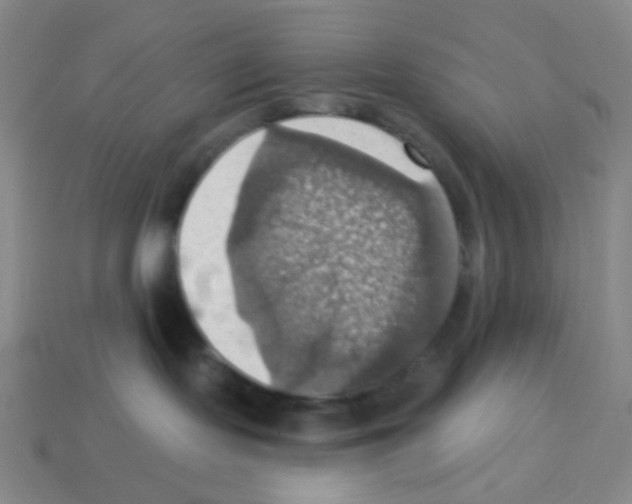 X0000113230095200910221048