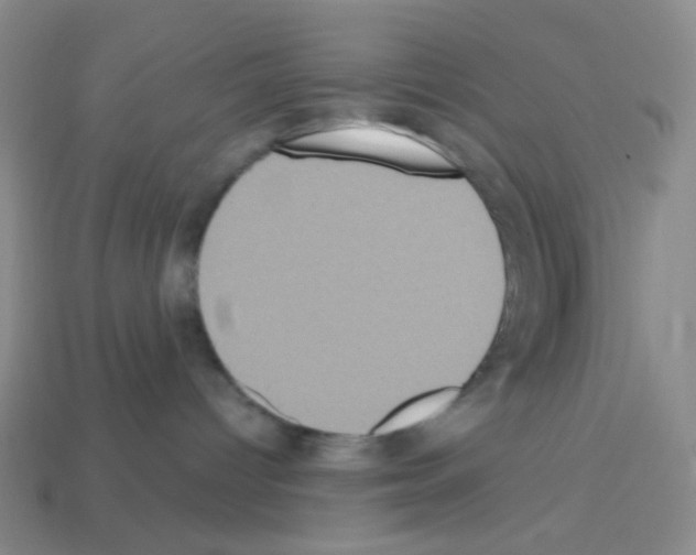 X0000113230096200910221048