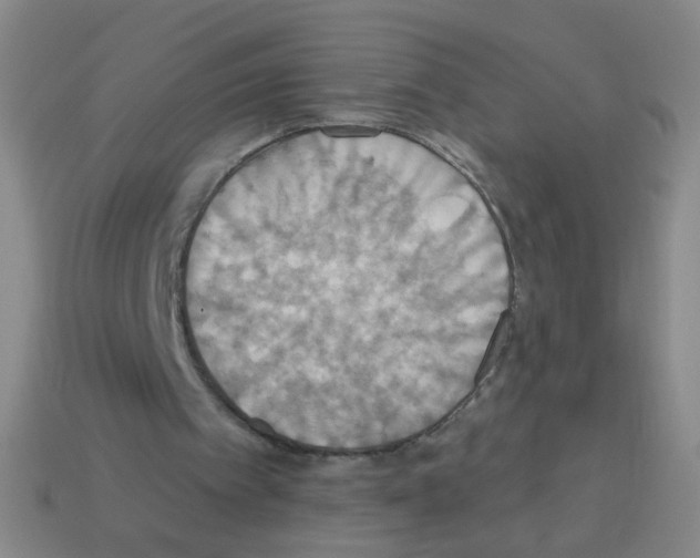 X0000113230097200910221048