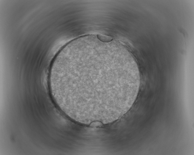 X0000113230098200910221048