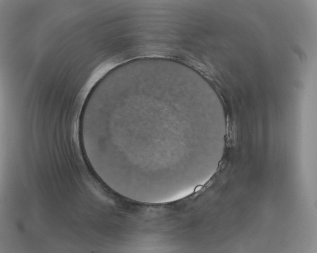 X0000113230099200910221048