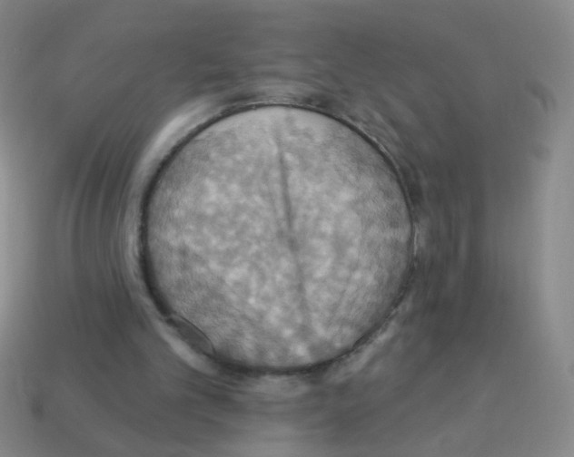 X0000113230101200910221048