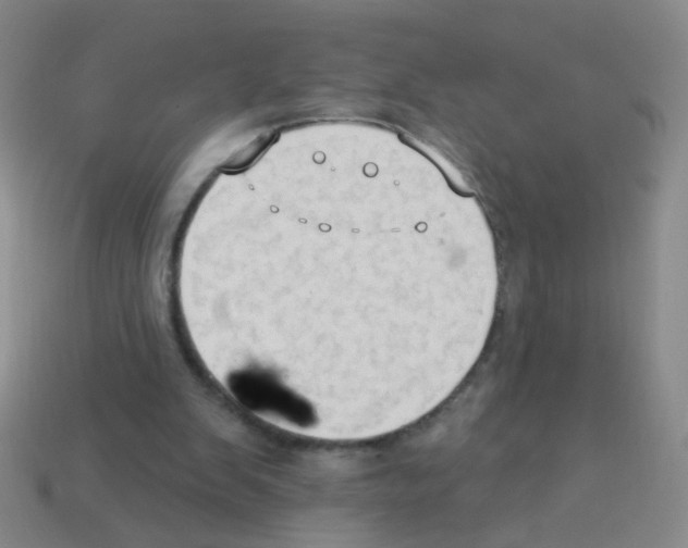 X0000113230103200910221048