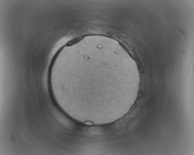 X0000113230104200910221048