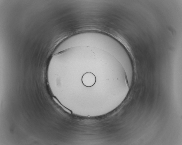 X0000113230105200910221048