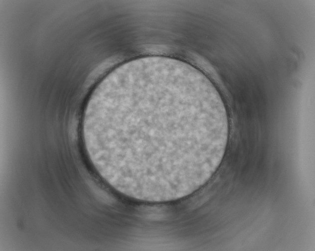 X0000113230106200910221048