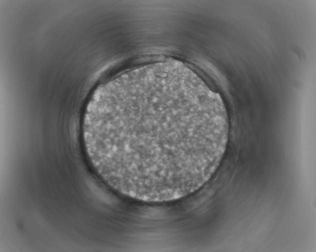 X0000113230107200910221048