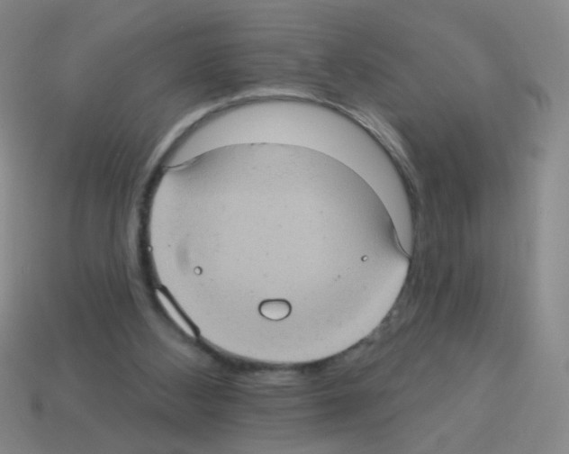 X0000113230108200910221048