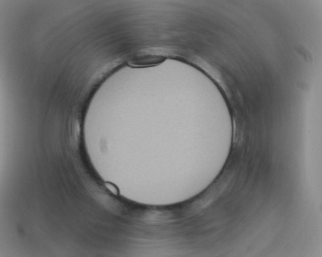 X0000113230109200910221048