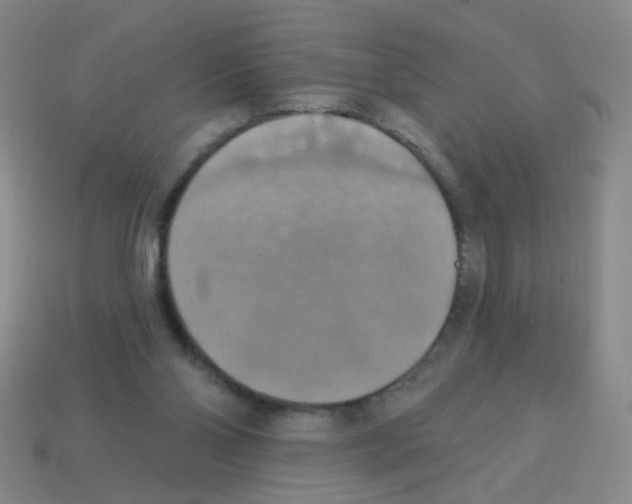 X0000113230110200910221048