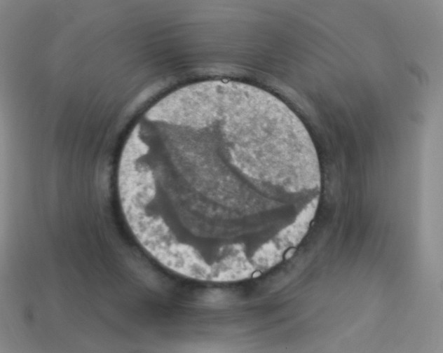 X0000113230111200910221048