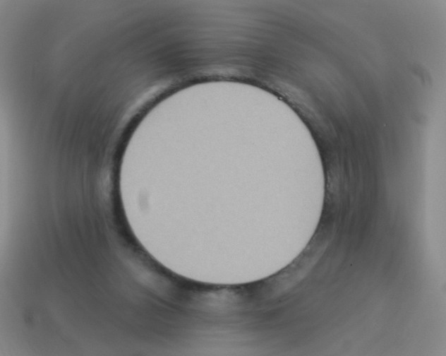 X0000113230112200910221048