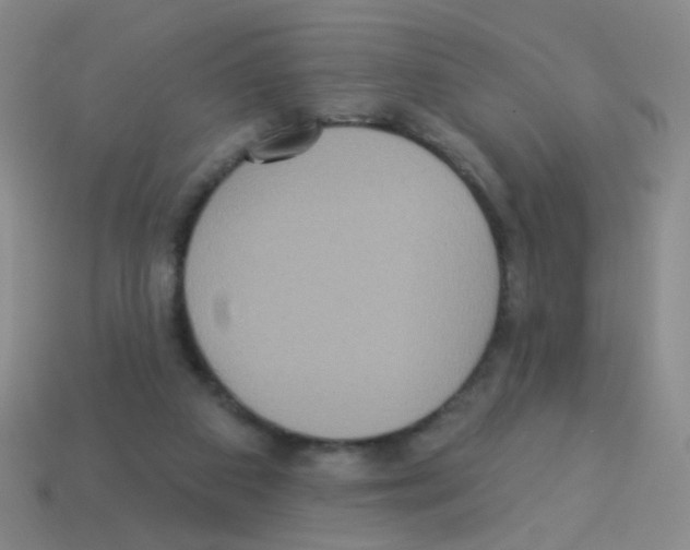 X0000113230113200910221048