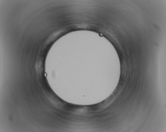 X0000113230116200910221047