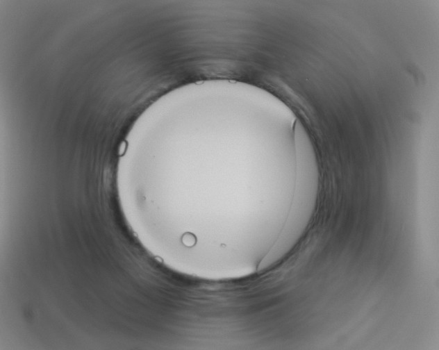 X0000113230117200910221047