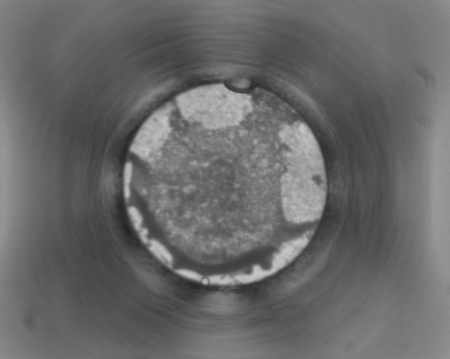 X0000113230119200910221047