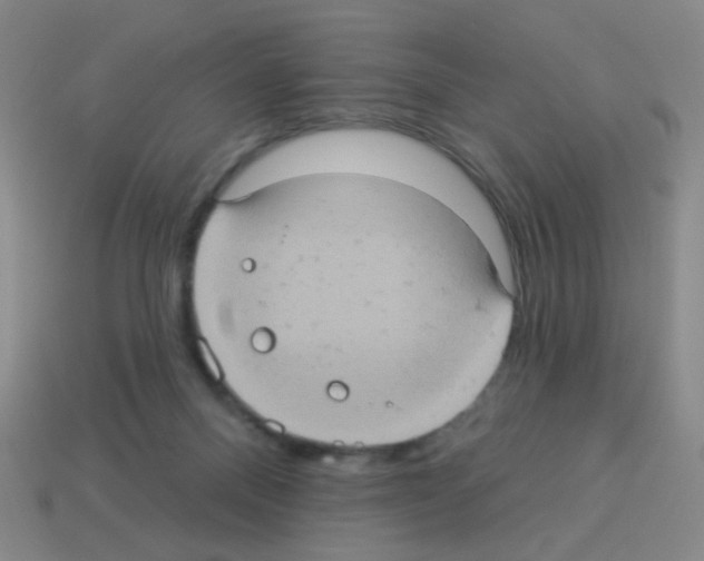 X0000113230120200910221047