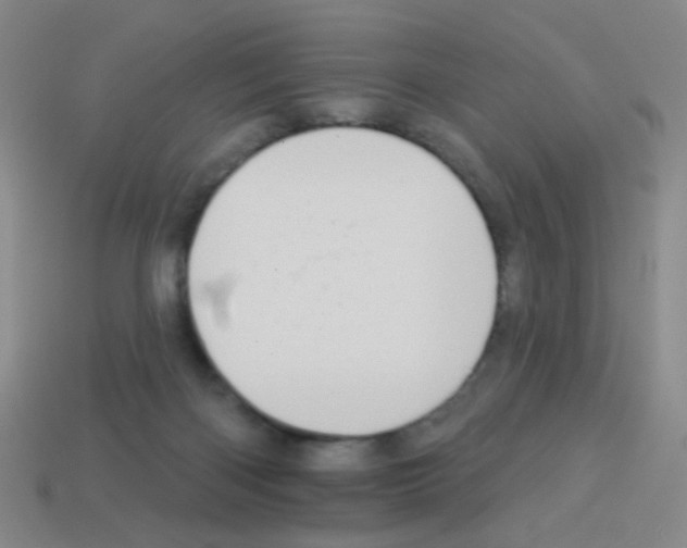 X0000113230122200910221047