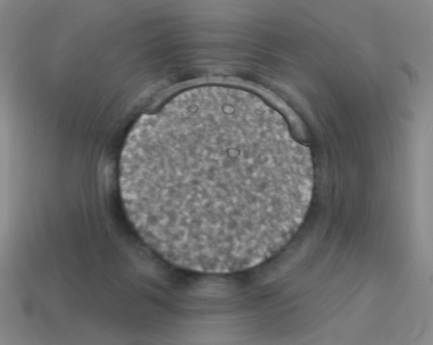 X0000113230123200910221047