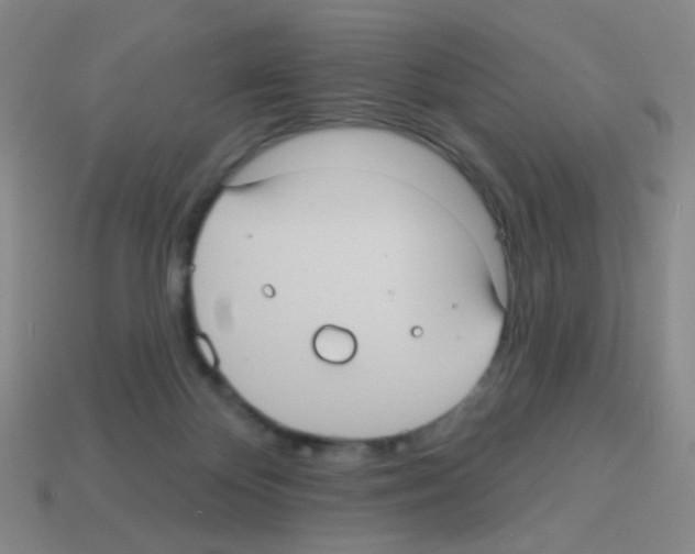 X0000113230124200910221047