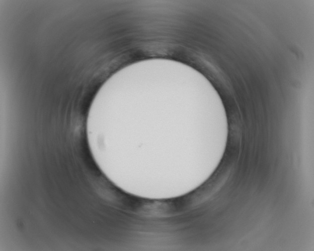 X0000113230125200910221047