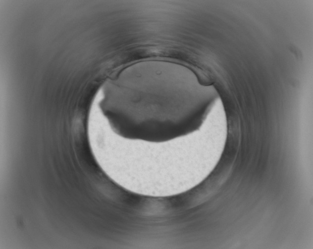 X0000113230127200910221047