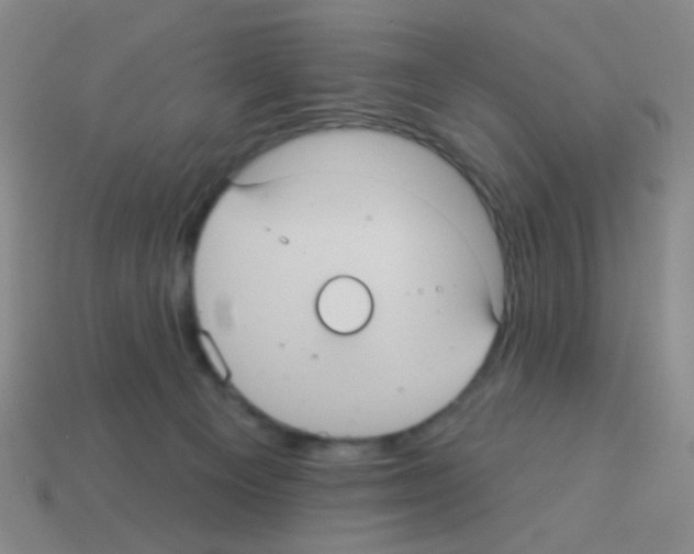 X0000113230129200910221047