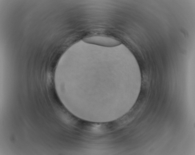 X0000113230130200910221047