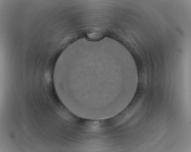 X0000113230131200910221047