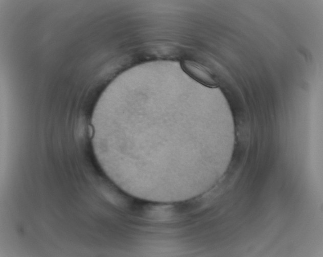 X0000113230132200910221047