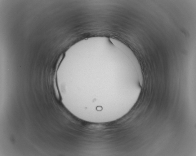 X0000113230133200910221047