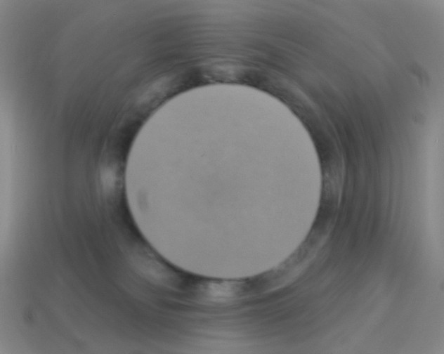 X0000113230134200910221047