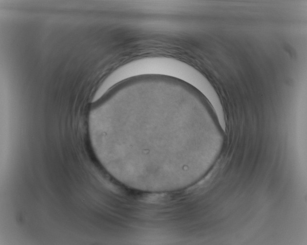 X0000113230136200910221047