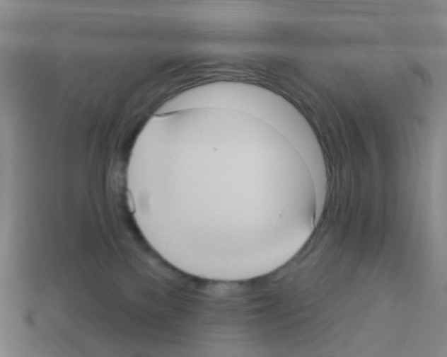 X0000113230137200910221047