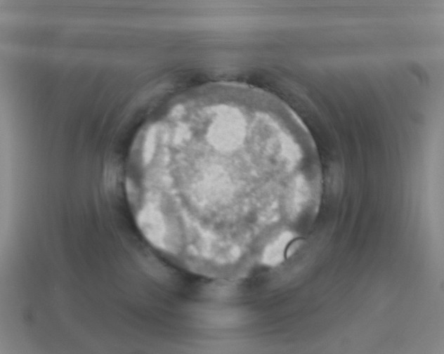 X0000113230138200910221047