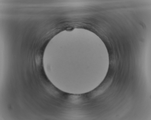 X0000113230139200910221047