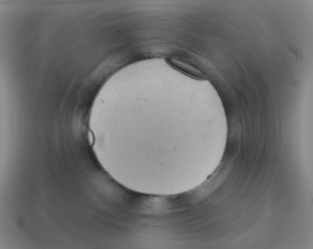 X0000113230140200910221047