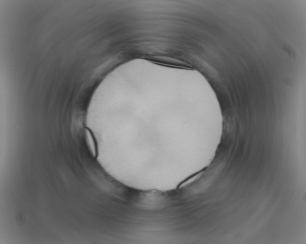 X0000113230141200910221047