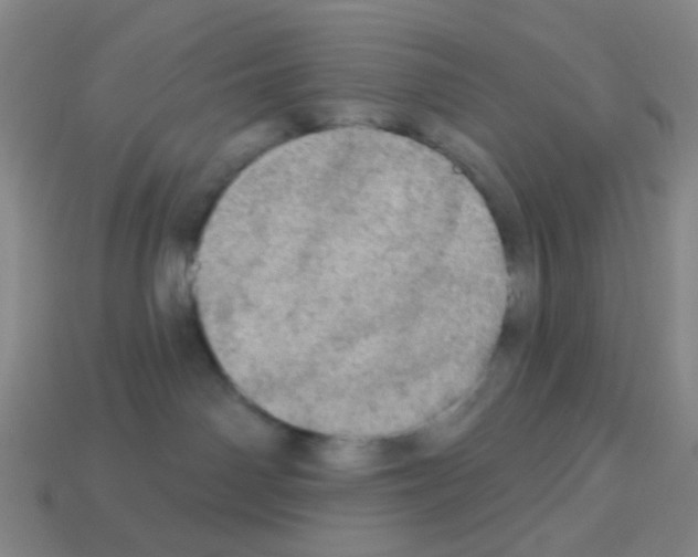 X0000113230142200910221047