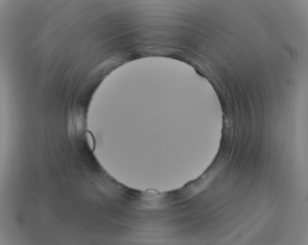 X0000113230143200910221047