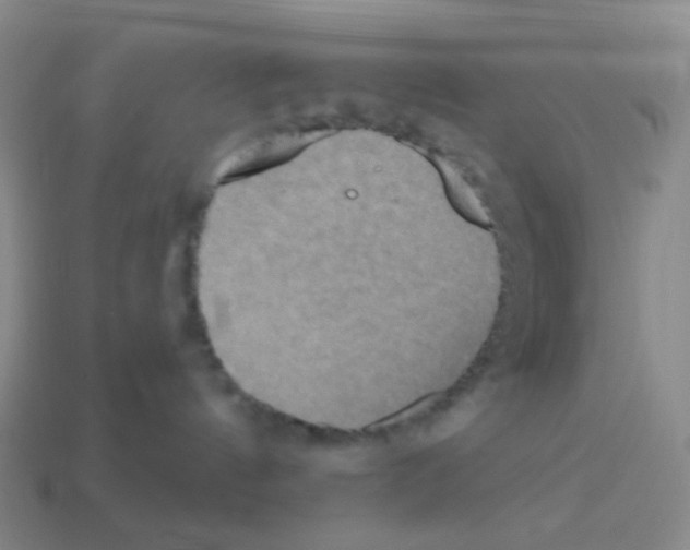 X0000113230144200910221047