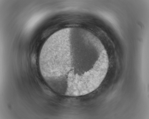 X0000113230146200910221047